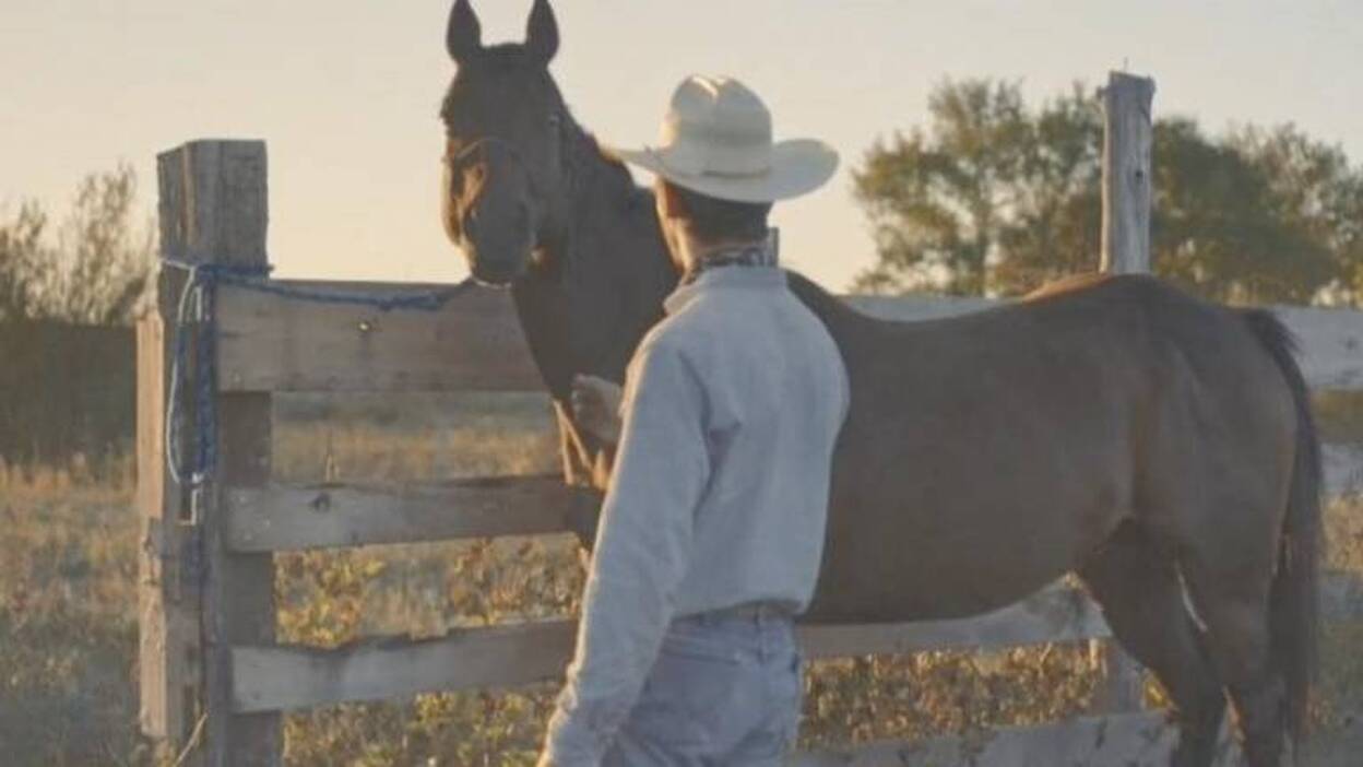 cosas para no perderte