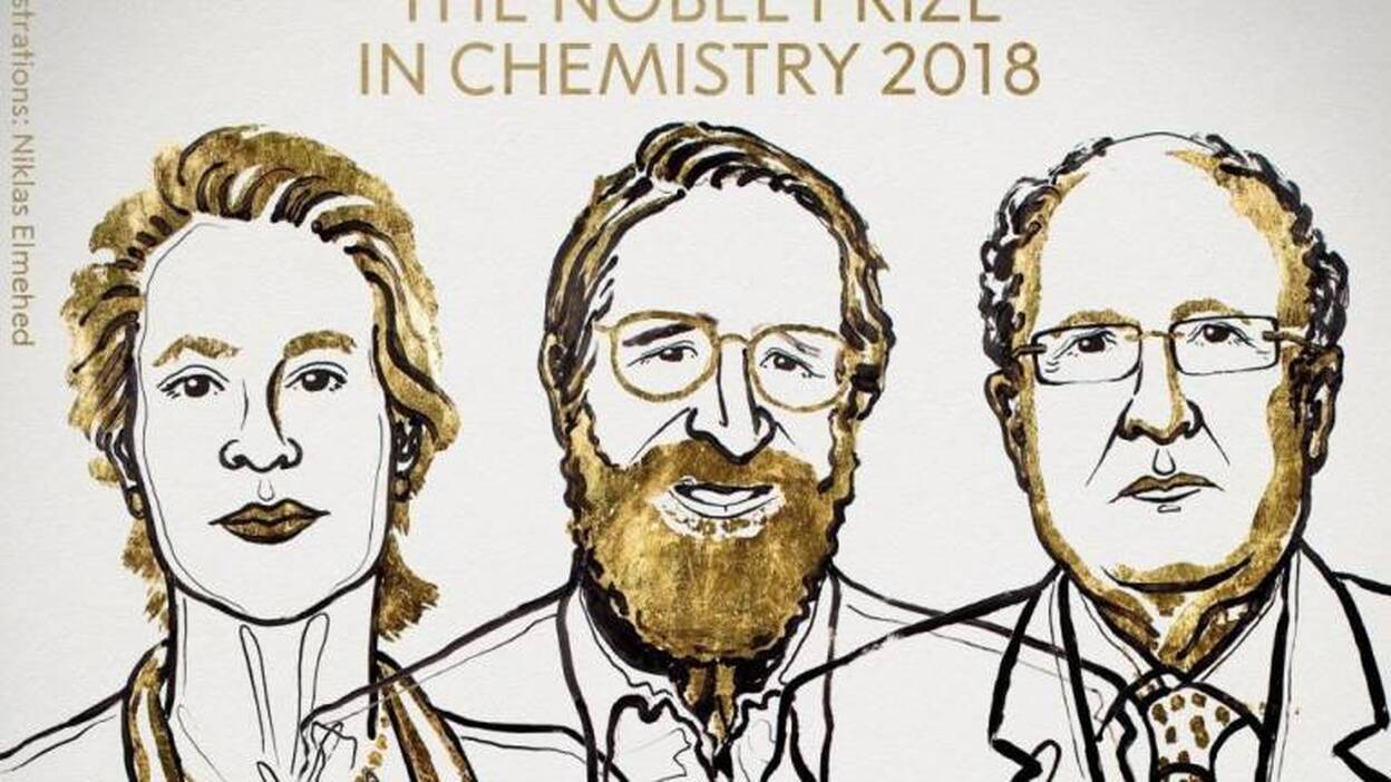 Arnold, Winter y Smith, Nobel de Química por desarrollo de proteínas