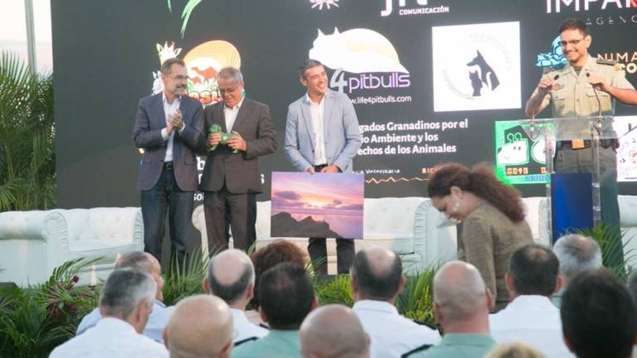 Voces unidas contra el maltrato animal