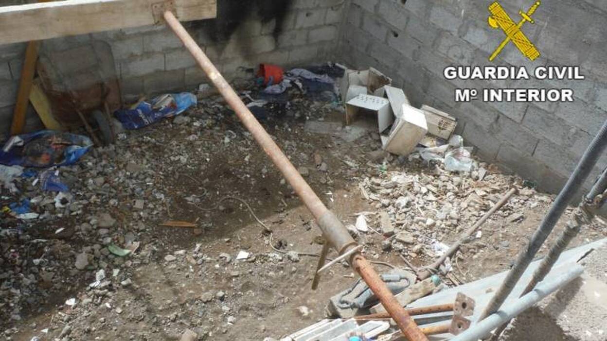 Detenidos por maltrato animal en San José