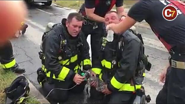 Unos bomberos salvan milagrosamente la vida de una gata