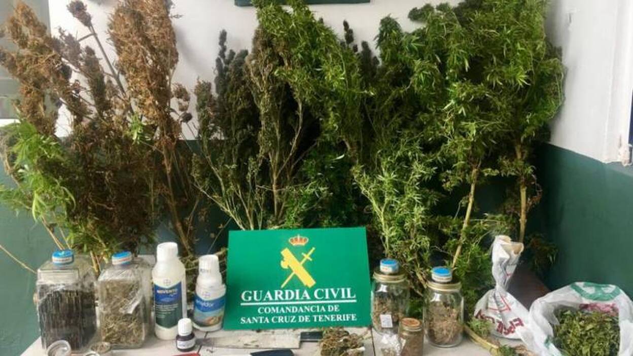 Incautan más de dos kilos y medio de marihuana