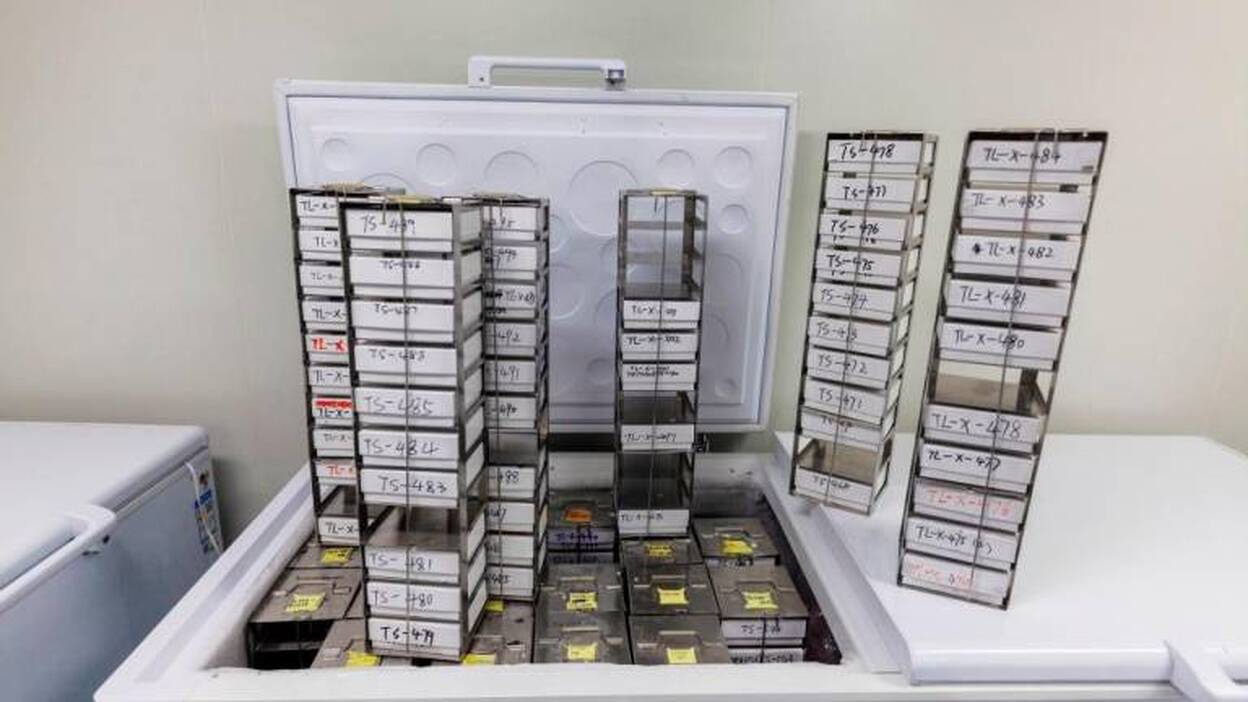 La modificación genética en humanos, hitos y precedentes