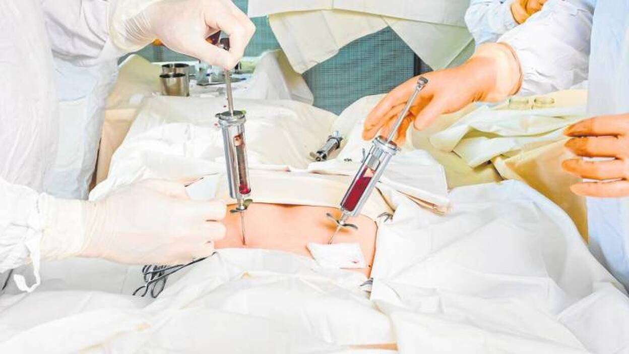 En busca de donantes de médula ósea