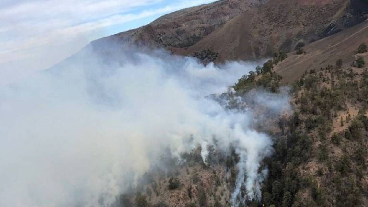 Conato de incendio en el sur de Tenerife