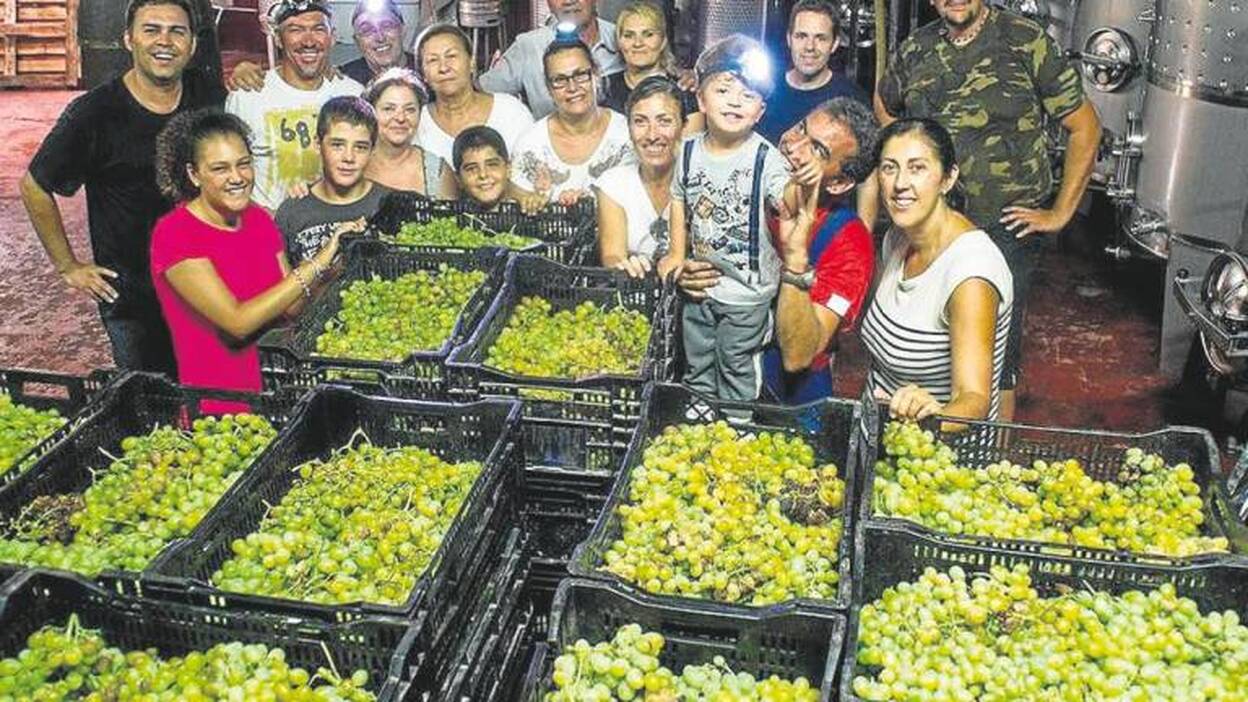 La vendimia cierra con 533.384 kilos