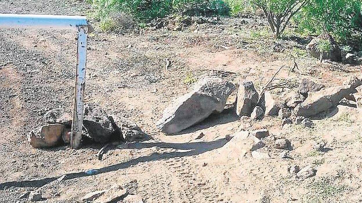 Los vándalos se abren paso en Lomo Calasio