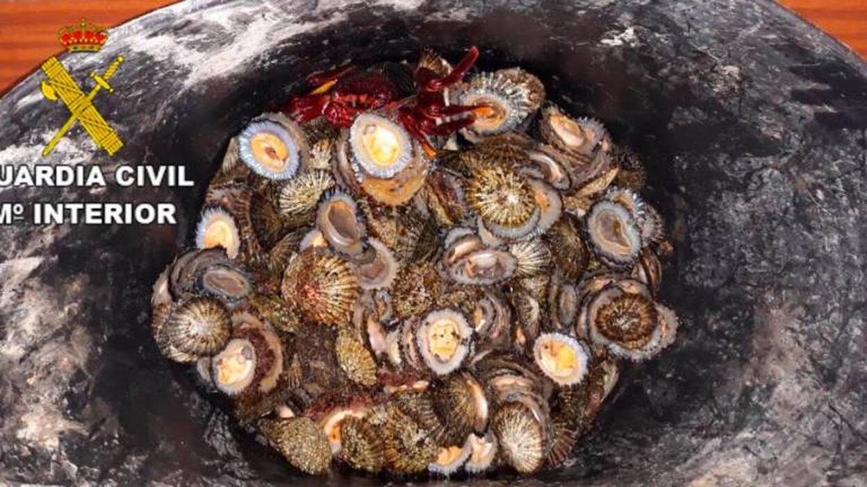 Denuncian a tres personas por marisqueo ilegal en Fuerteventura