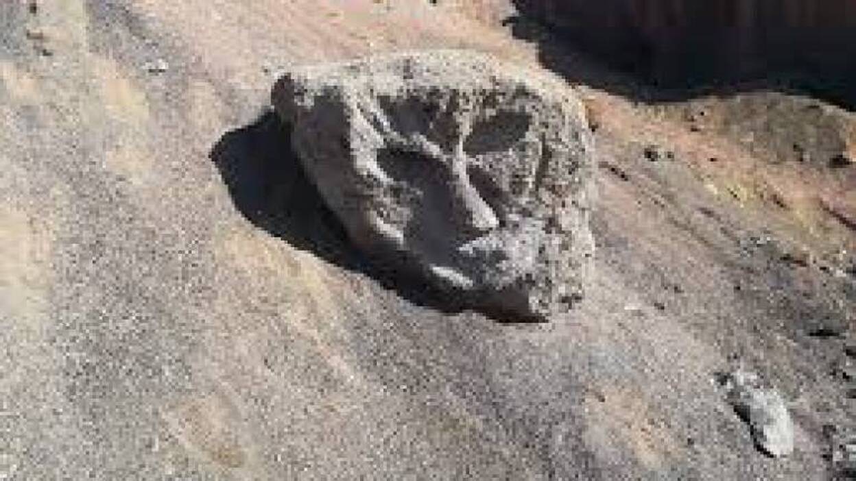 ‘Pasa sin huella por La Oliva’ organiza charlas de sensibilización