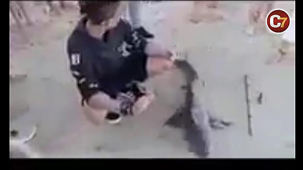 Intentan pescar un cazón en Corralejo