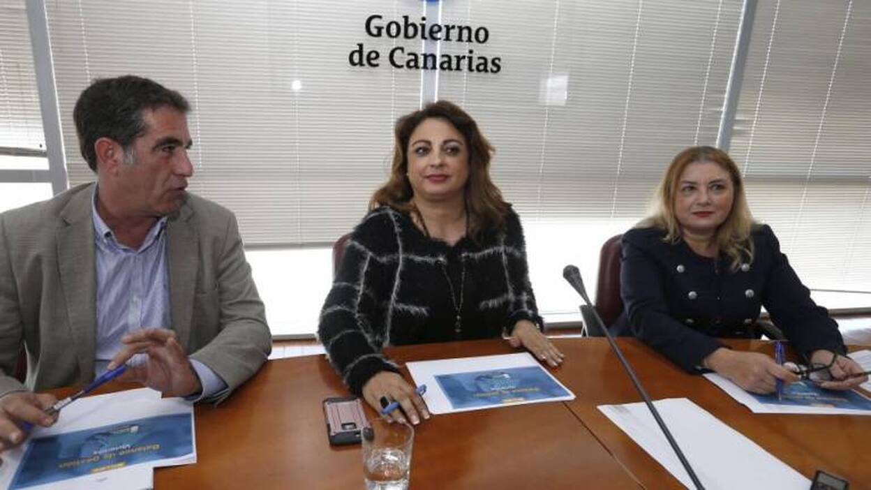 Canarias ve bien que se limite el precio del alquiler donde falten viviendas