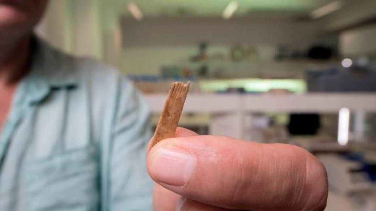 Las herramientas más antiguas del mundo para tatuar