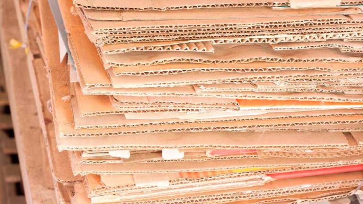 El sector papelero incentiva la economía