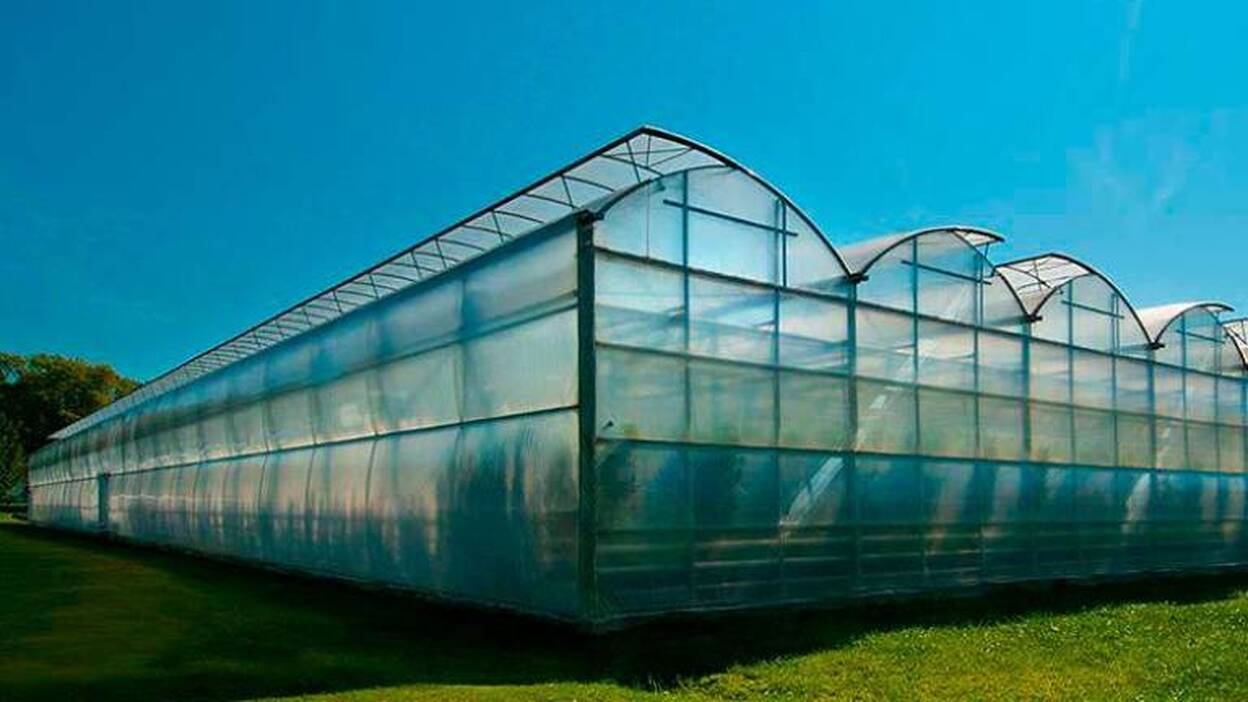 Tres detenidos por varios robos en invernaderos