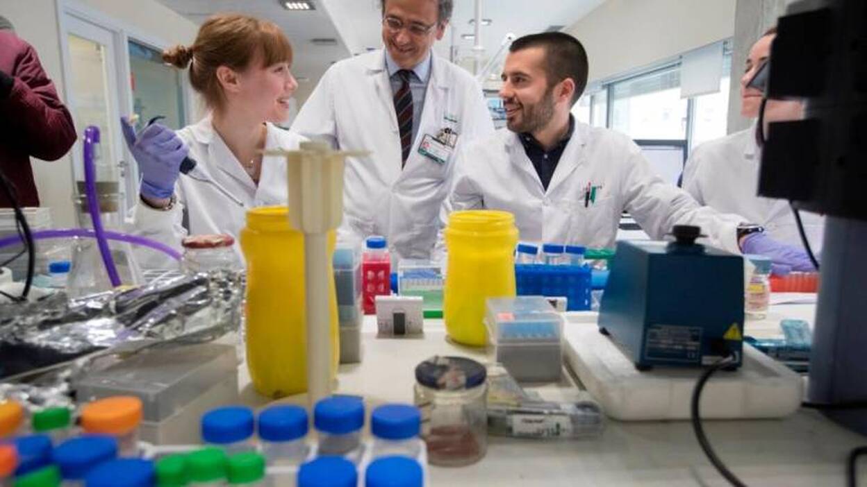 Un tratamiento antiplaquetario evita que el hígado graso derive en cáncer