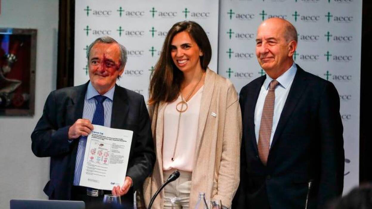 Logran por primera vez en ratones la desaparición del cáncer de páncreas