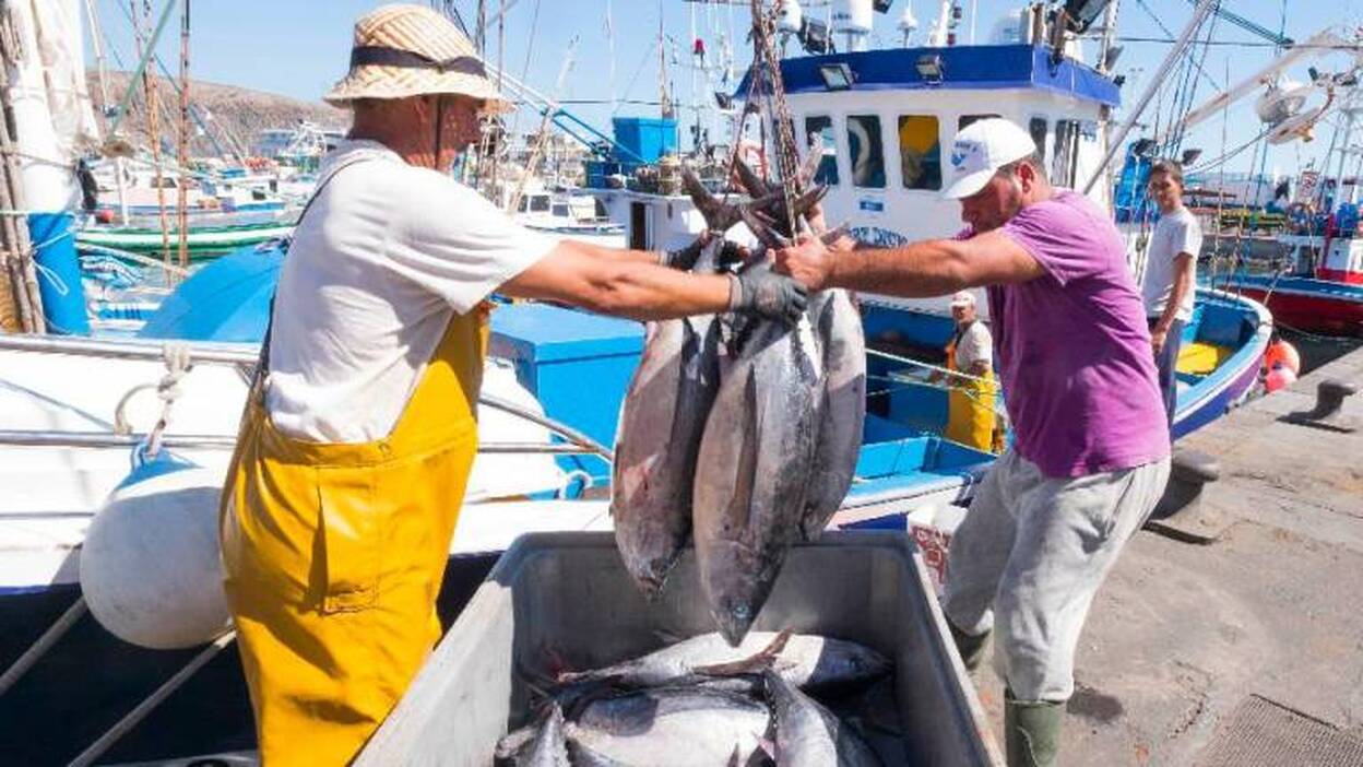 Mayor aumento de la cuota del atún rojo: una aspiración para los pescadores