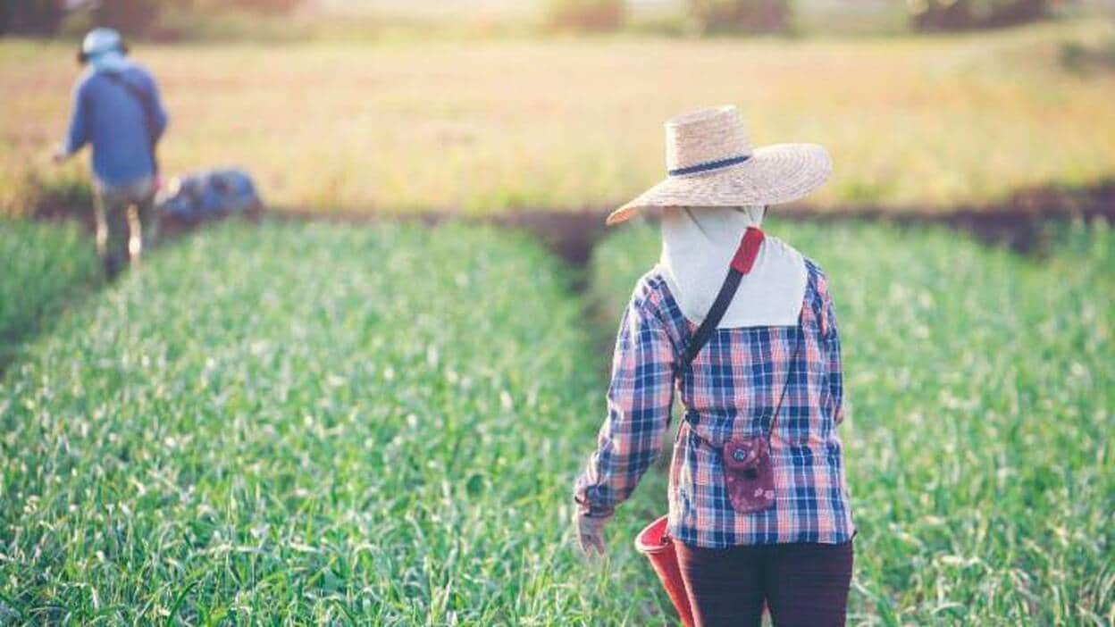 El sector primario, economía de hoy y de siempre