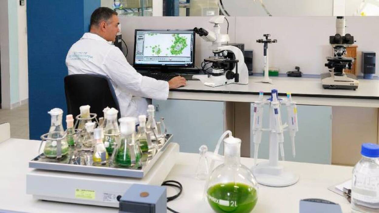 Calidad interna y externa