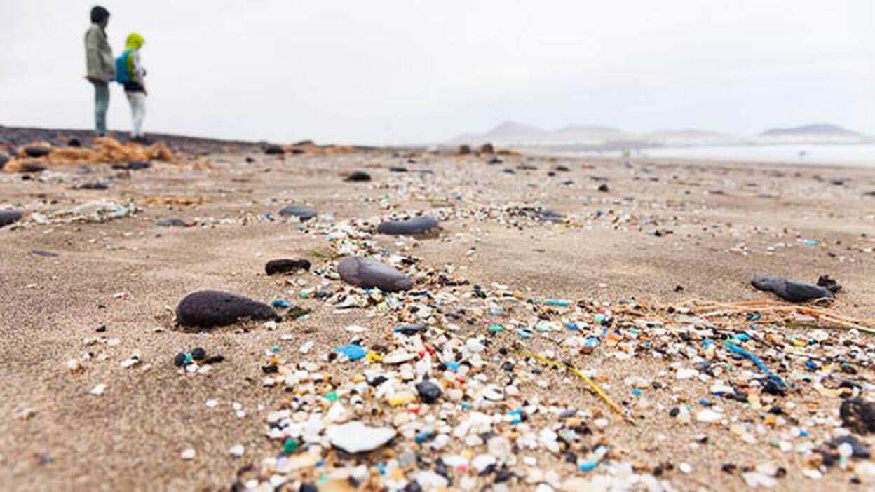 Un millón de especies están en peligro de extinción en las próximas décadas