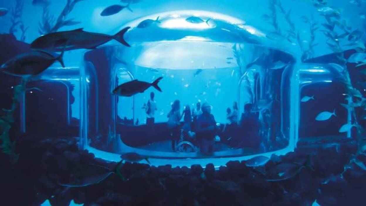 El cristal curvo más grande, en Poema del Mar