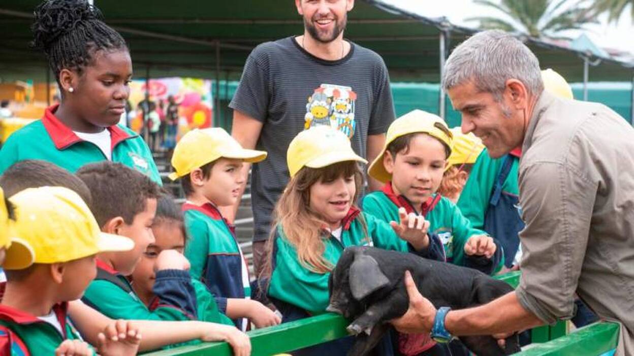 Un día con los toros, las ovejas y las cabras