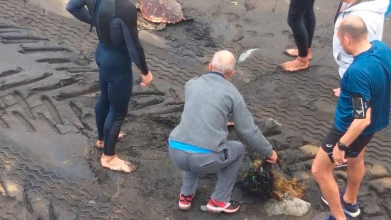 Dos tortugas liberadas por bañistas en Las Canteras