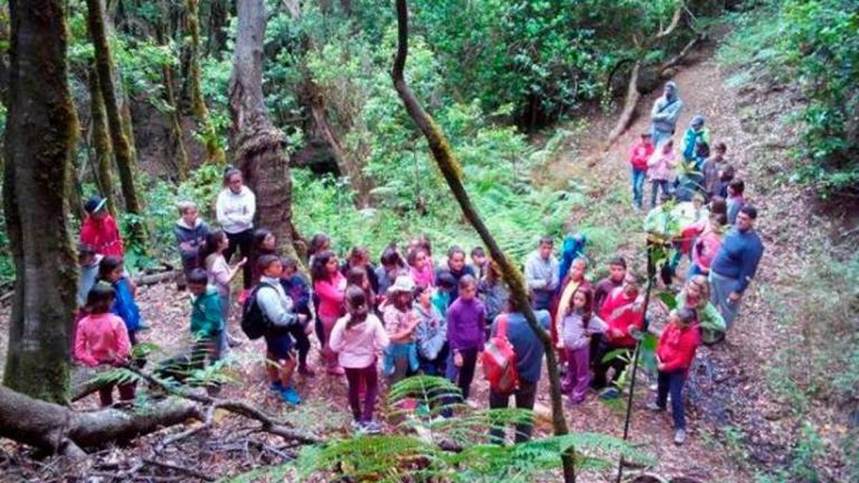 Mucho más que un campamento de verano