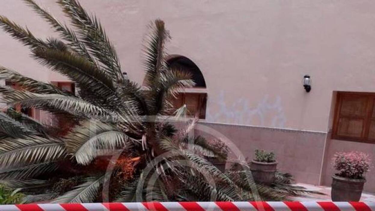 Cae la palmera del colegio salesiano de Telde