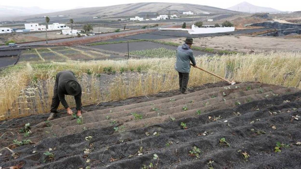 Producción ecológica de alta categoría
