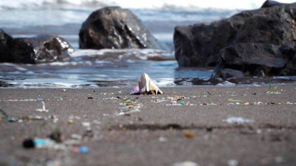 Casi el 60% de las playas canarias están afectadas por el plástico