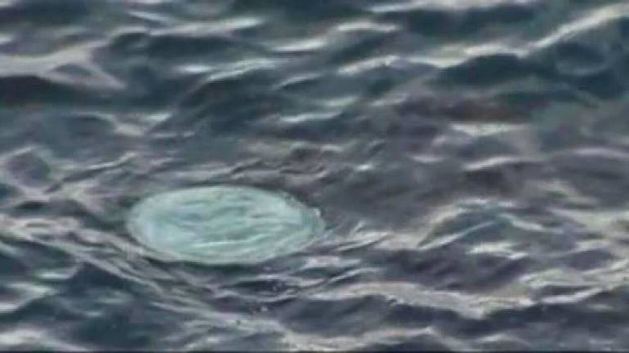 Una vida llena de engaños que acabó de la peor manera posible