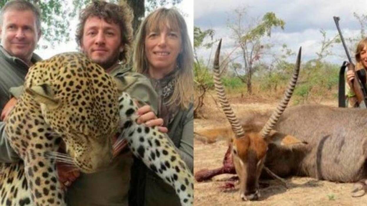 Pierden sus trabajos tras cazar en África