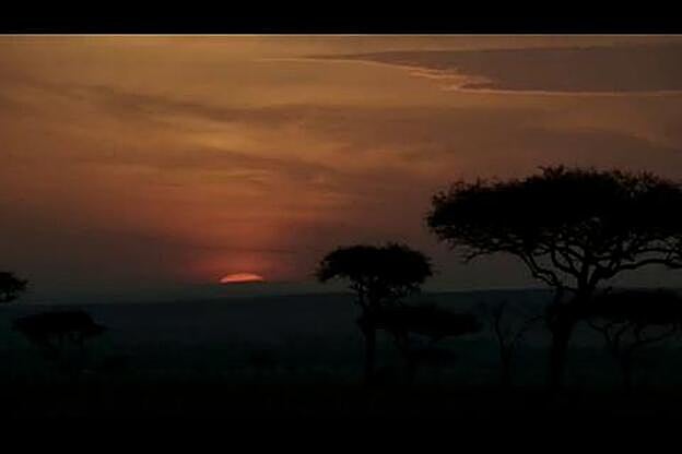 Disney estrena el remake fotorrealista de “El Rey León”