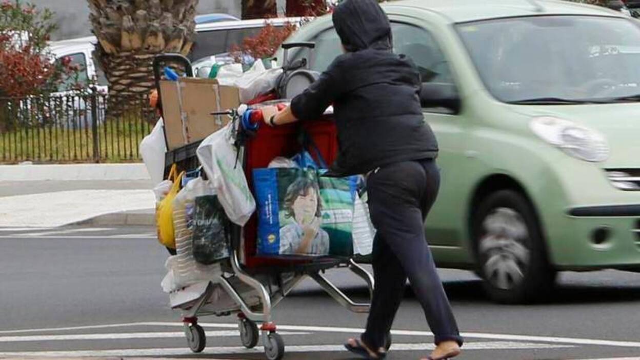Cáritas pide al Gobierno canario una renta mínima