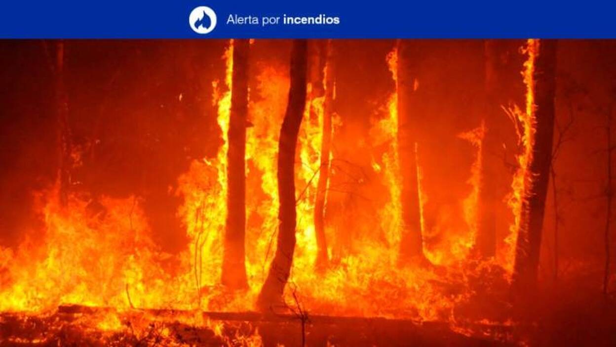 Declarada la situación de alerta por riesgos de incendio forestal en Gran Canaria