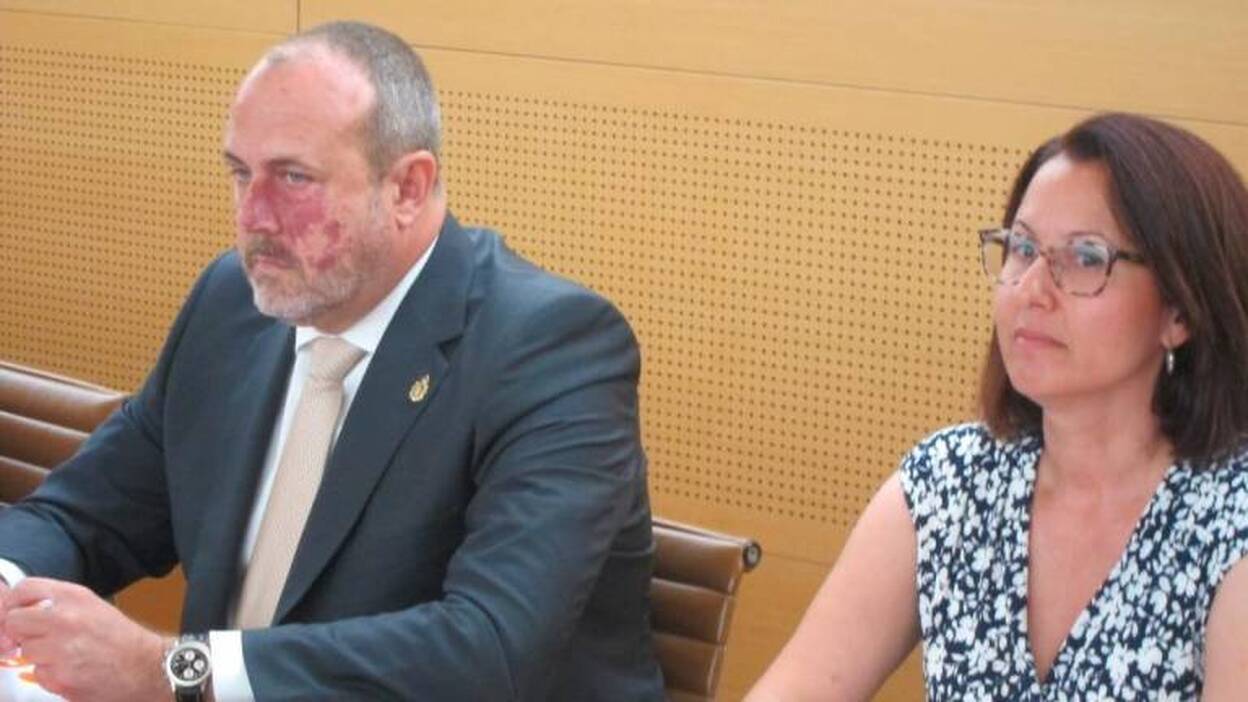 Ciudadanos expulsa a los dos consejeros del Cabildo de Tenerife