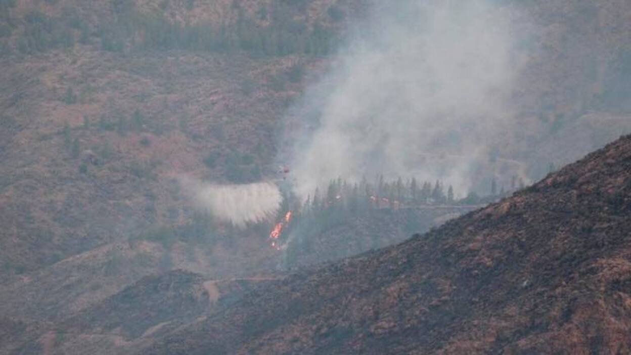 Ofrece sus cuadras para los animales afectados por el fuego