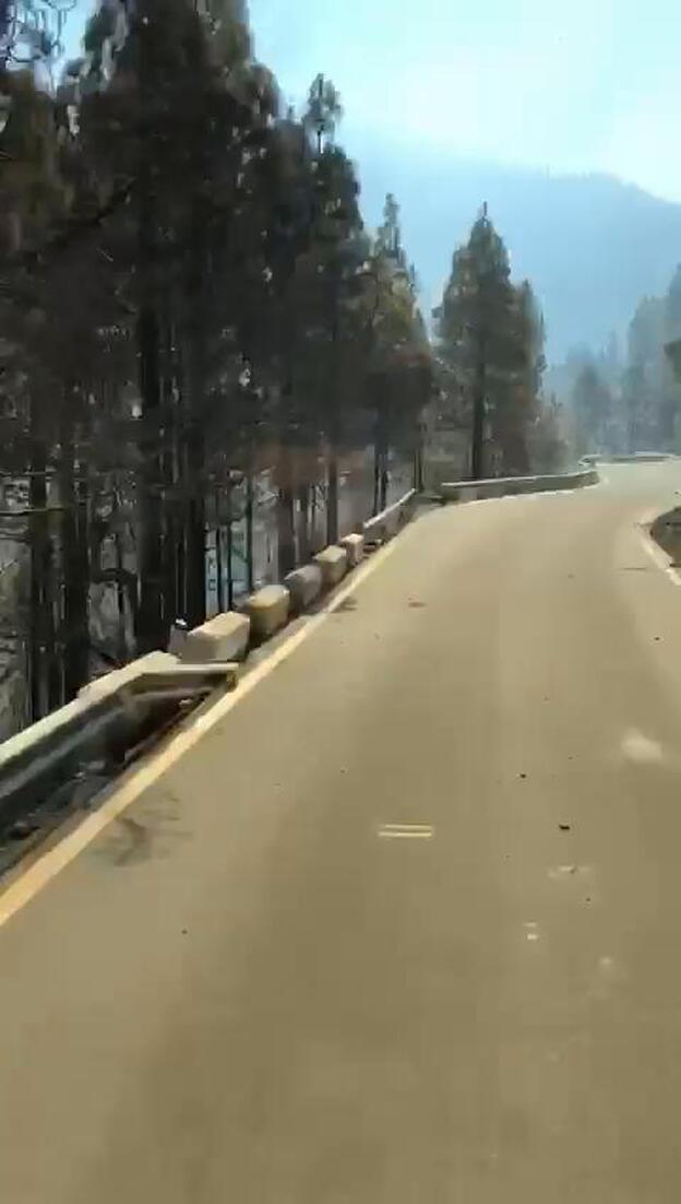 Impactantes imágenes del incendio desde la carretera