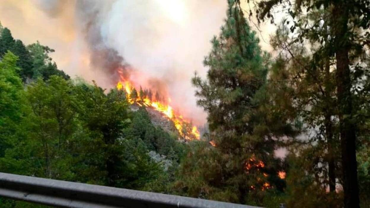 Vea las imágenes del incendio en Valleseco