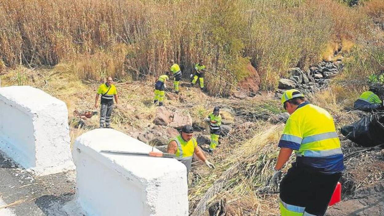 Mogán limpia a fondo sus barrancos