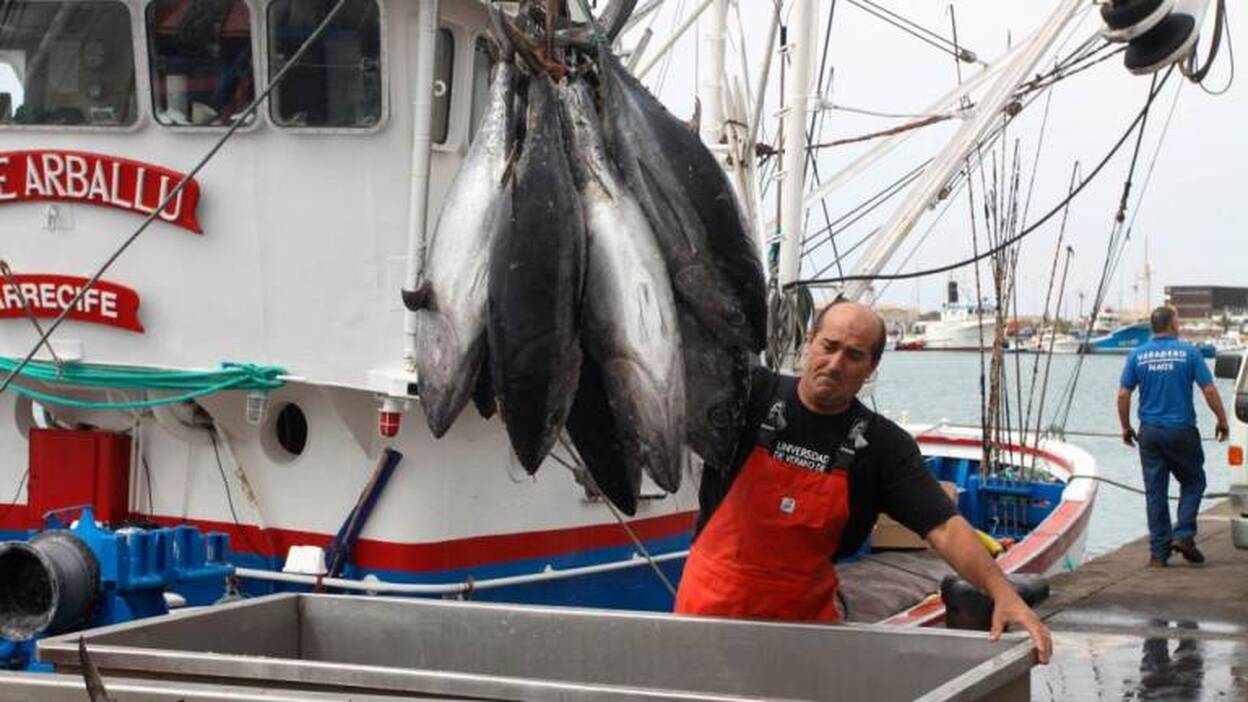 Los atuneros remontan el parón pesquero impuesto por Madrid