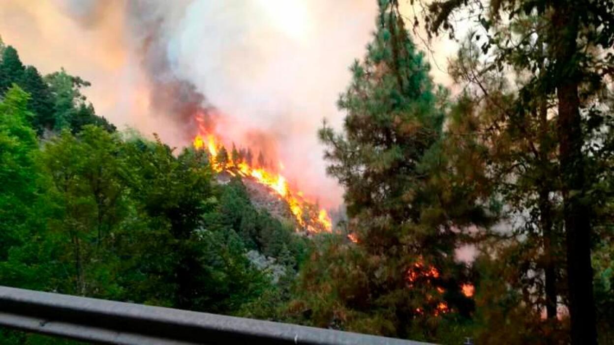 El incendio de Valleseco pasa a nivel 1