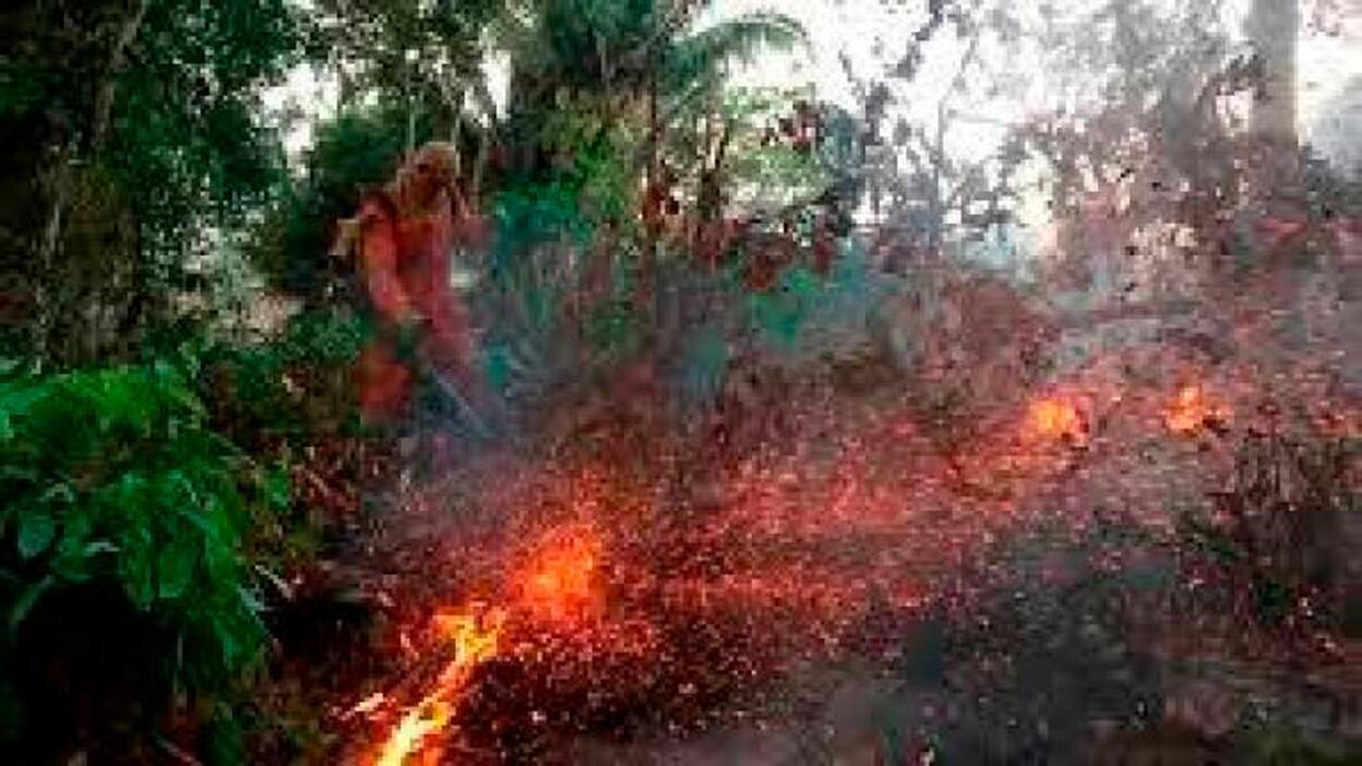 Brasil exige controlar las ayudas del Amazonas