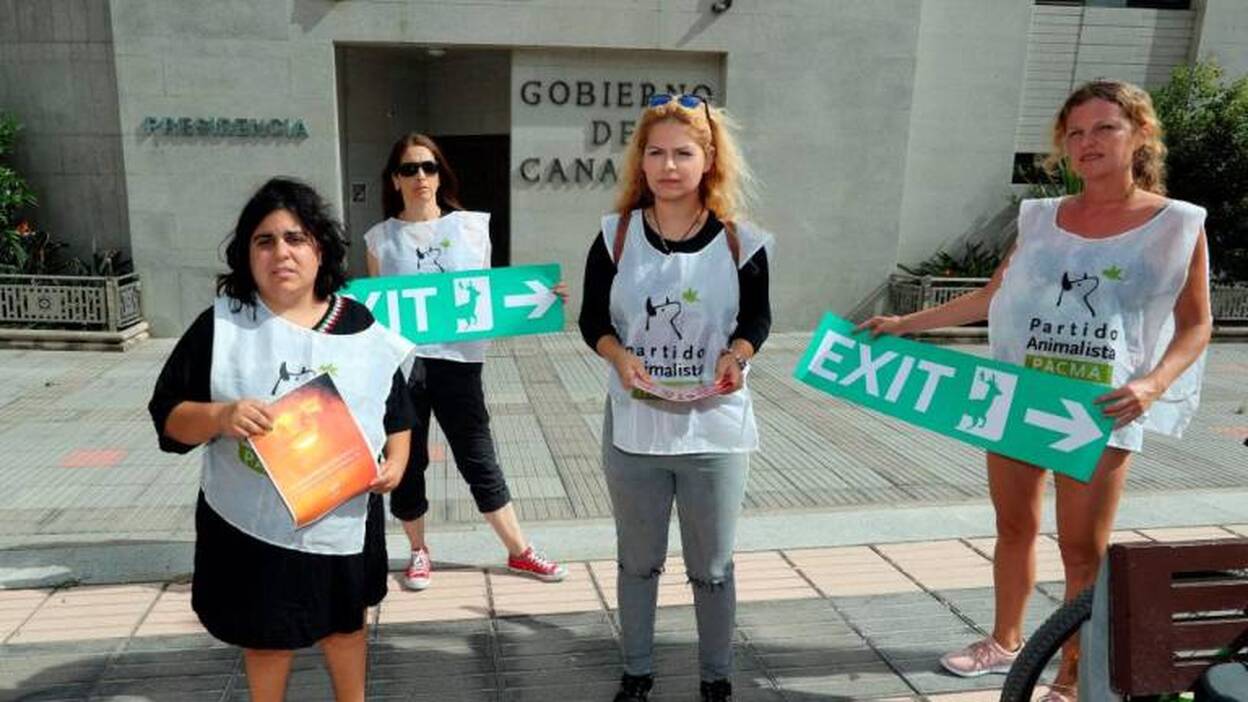 PACMA reclama al Gobierno canario un Plan de Evacuación Animal en incendios