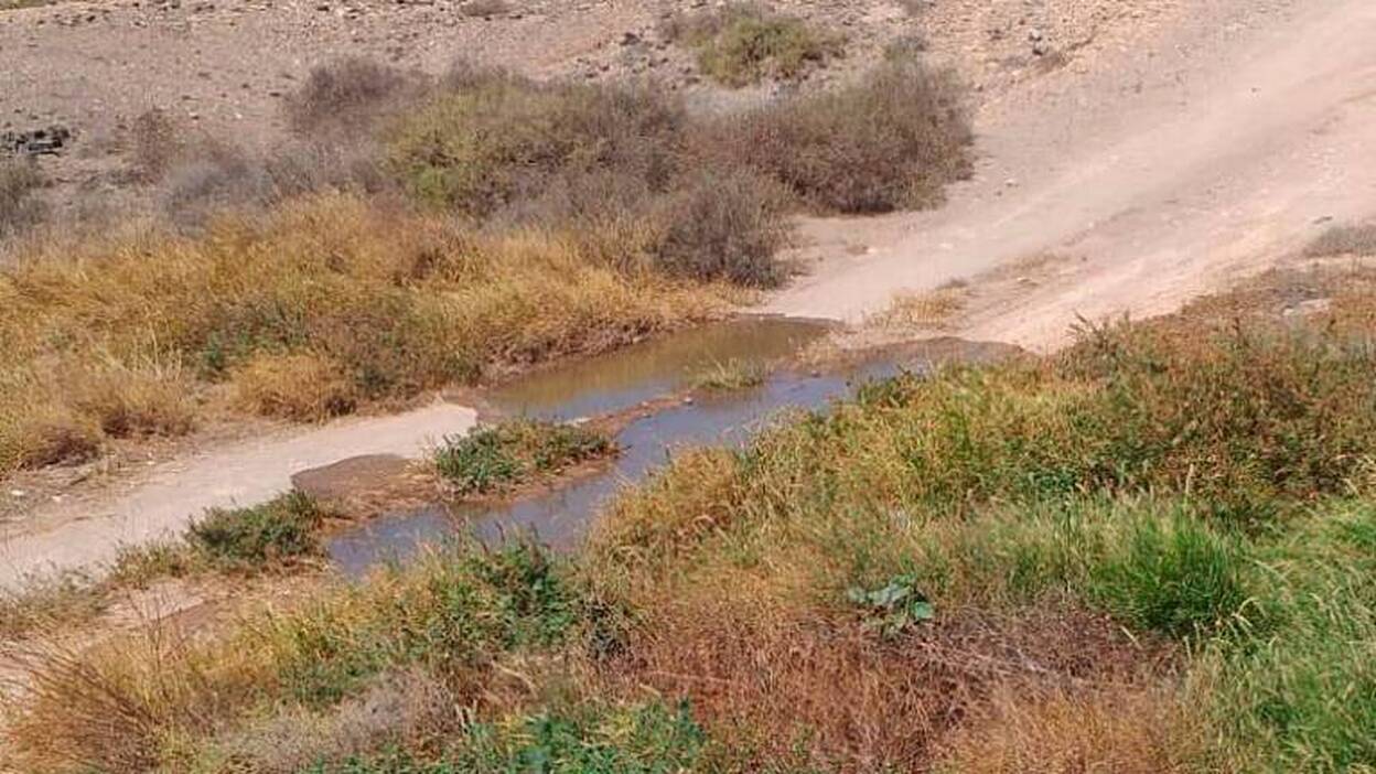 Cs lamenta nuevos  vertidos fecales en Playa Blanca