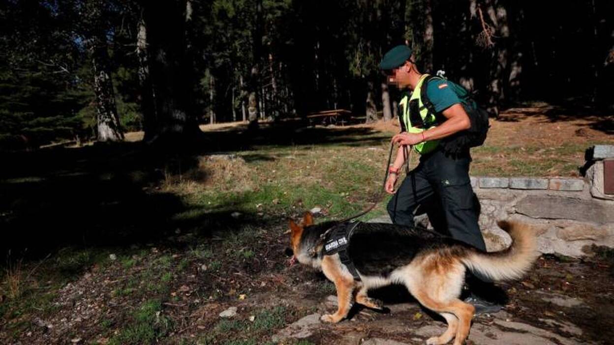 El cadáver localizado es el de Blanca Fernández Ochoa