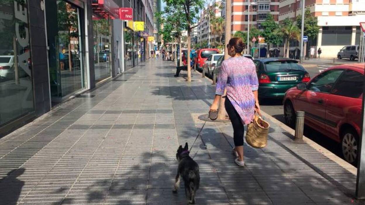 El Ayuntamiento no impondrá el impuesto al perro