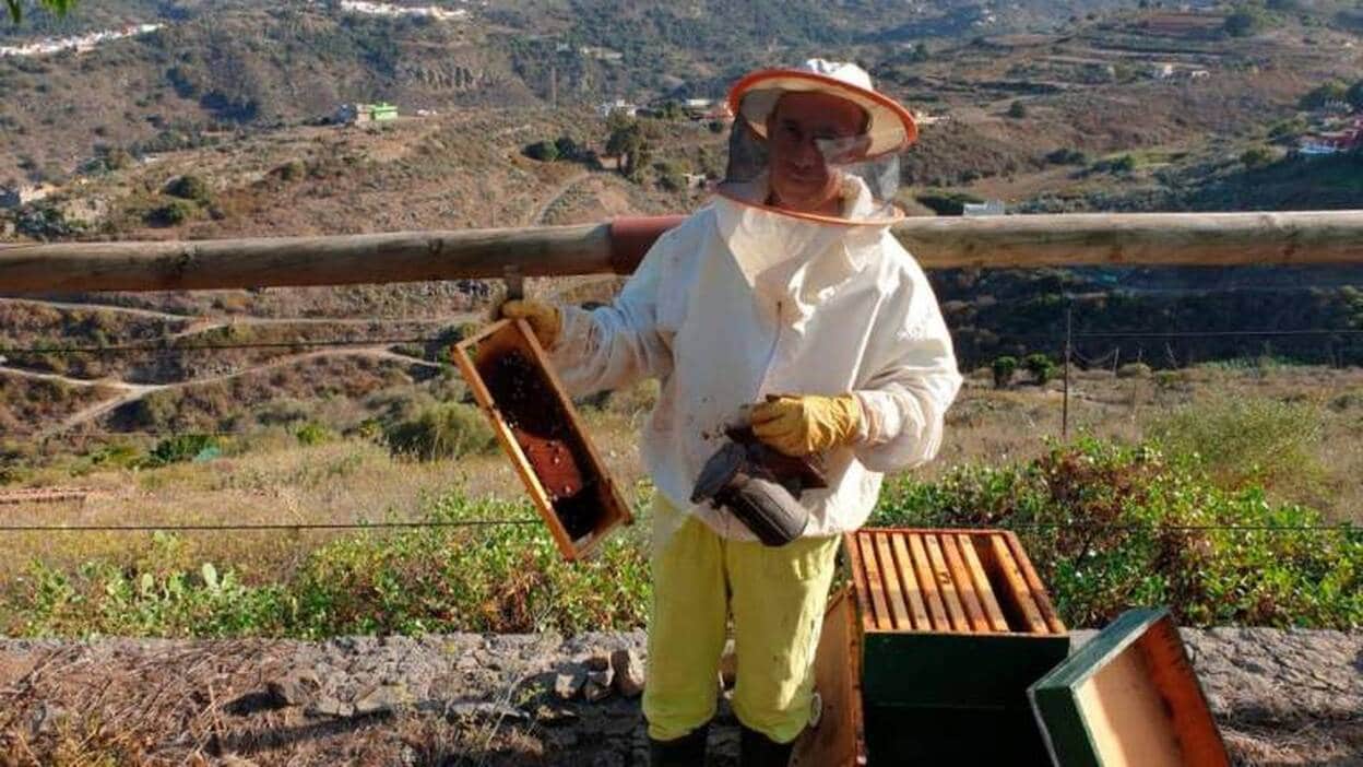 La apicultura vive su peor año, con solo un 10% de su cosecha habitual