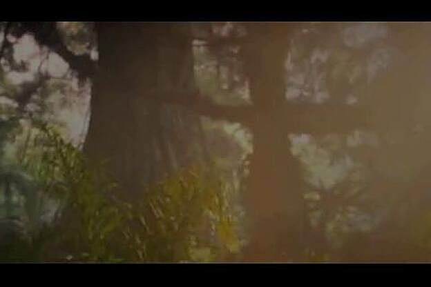 Nicky Minaj se casa con Kenneth Petty